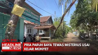 Pria Paruh Baya Tewas Misterius Usai Kejar Monyet