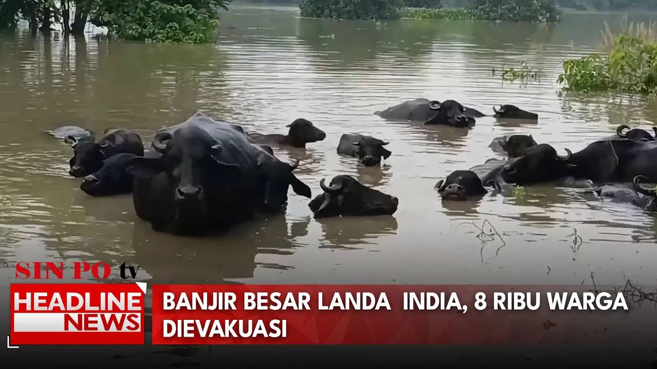 Banjir Besar Landa India, 8 Ribu Warga Dievakuasi