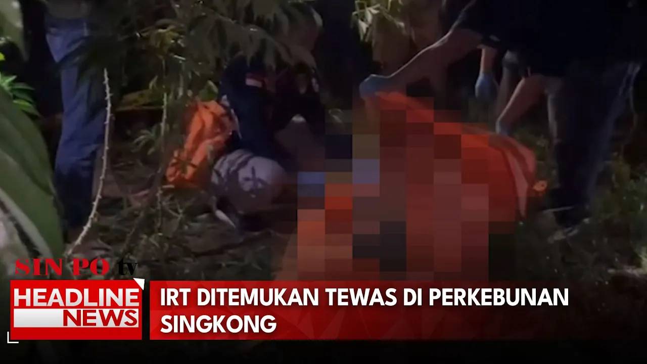 Diduga Korban Pembunuhan, IRT Ditemukan Tewas Di Perkebunan Singkong
