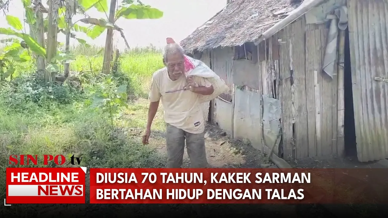 Diusia 70 Tahun, Kakek Sarman Bertahan Hidup Dengan Talas