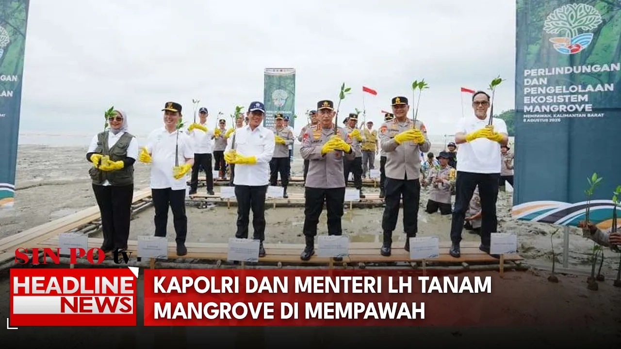 Kapolri dan Menteri LH Tanam Mangrove Di Mempawah