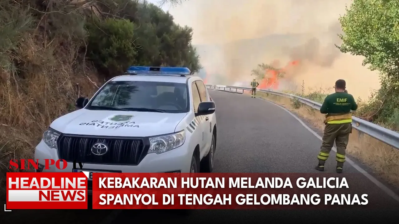 Kebakaran Hutan Melanda Galicia Spanyol Di Tengah Gelombang Panas Ekstrem