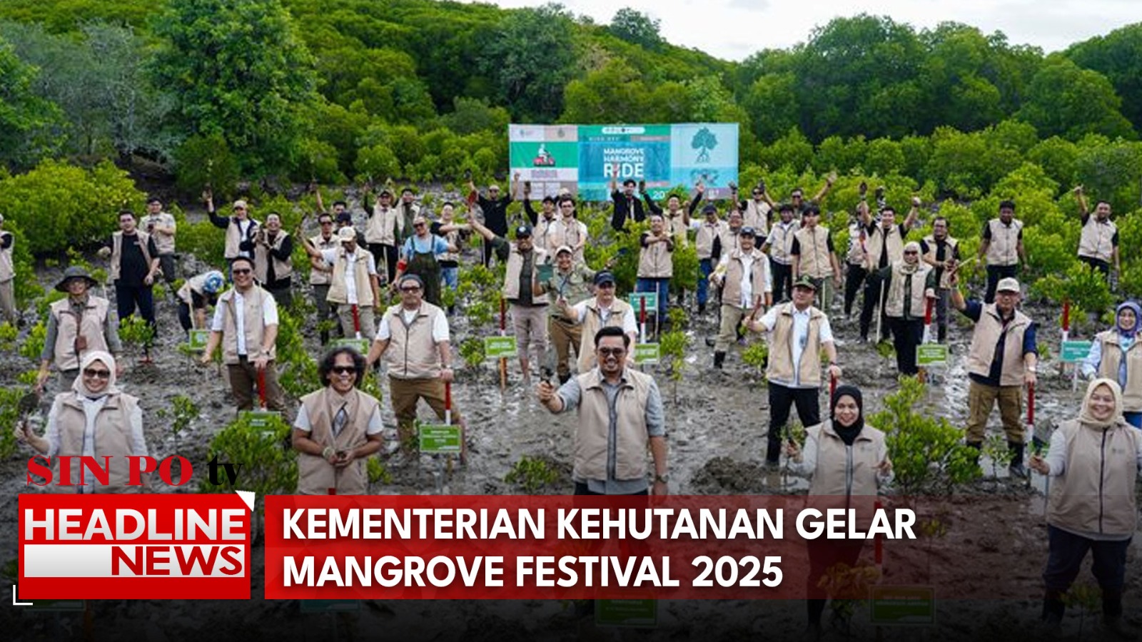 Kementerian Kehutanan Gelar Mangrove Festival 2025