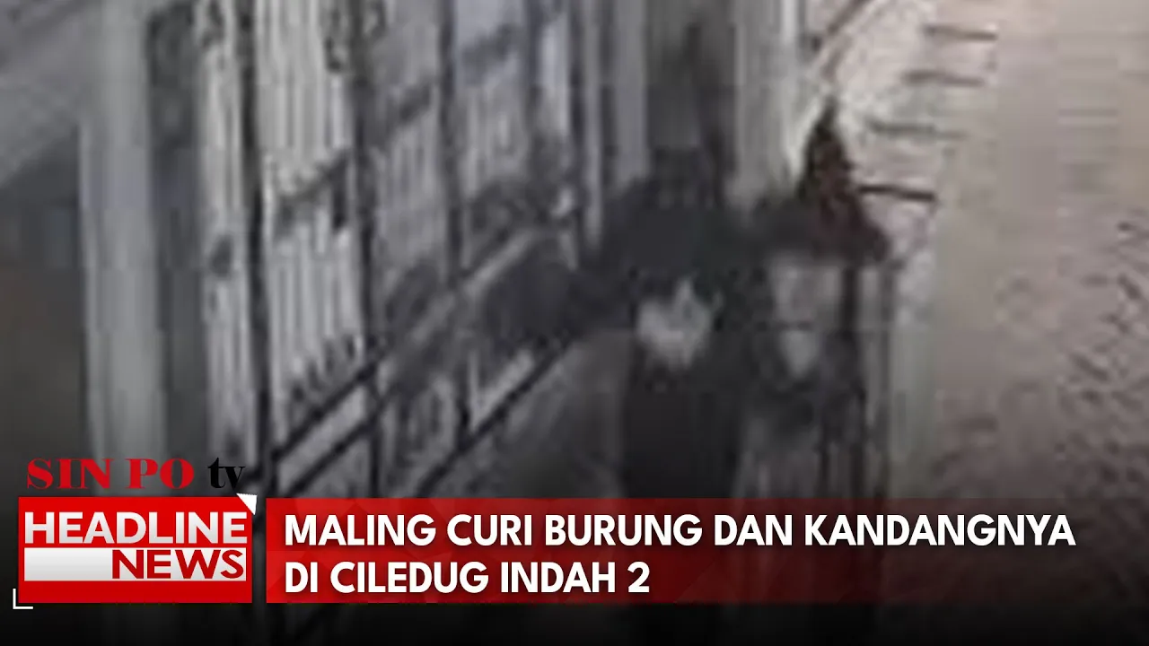 Maling Curi Burung Dan Kandangnya Di Ciledug Indah 2