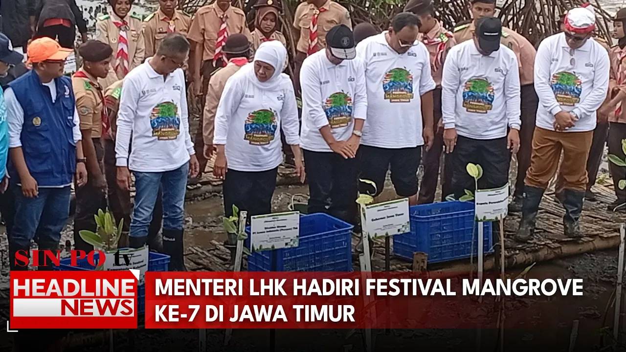 Menteri LHK Hadiri Festival Mangrove Ke-7 Di Jawa Timur