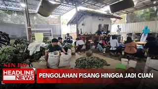 Pengolahan Pisang Hingga Jadi Cuan
