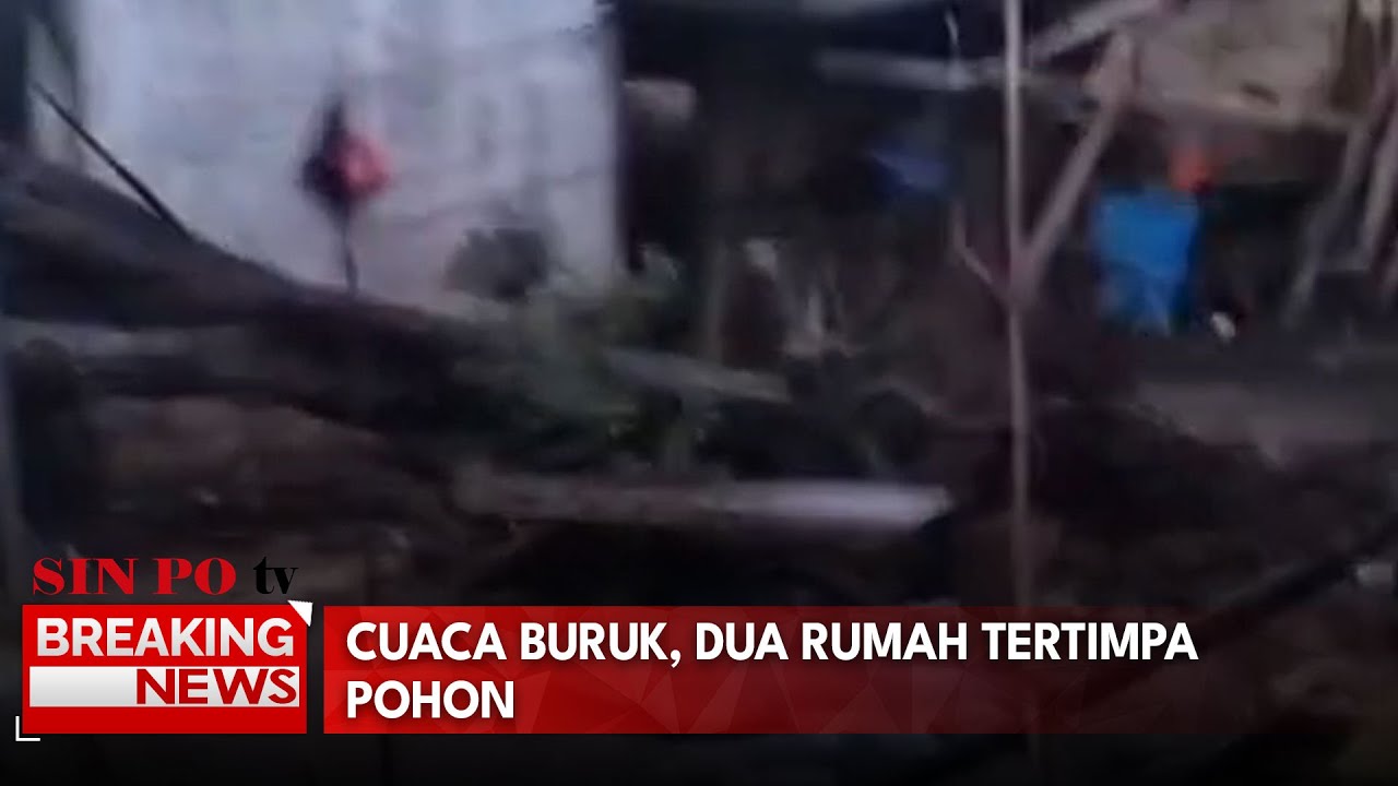 Dua Rumah Tertimpa Pohon, Seorang Lansia Dan Balita Alami Luka