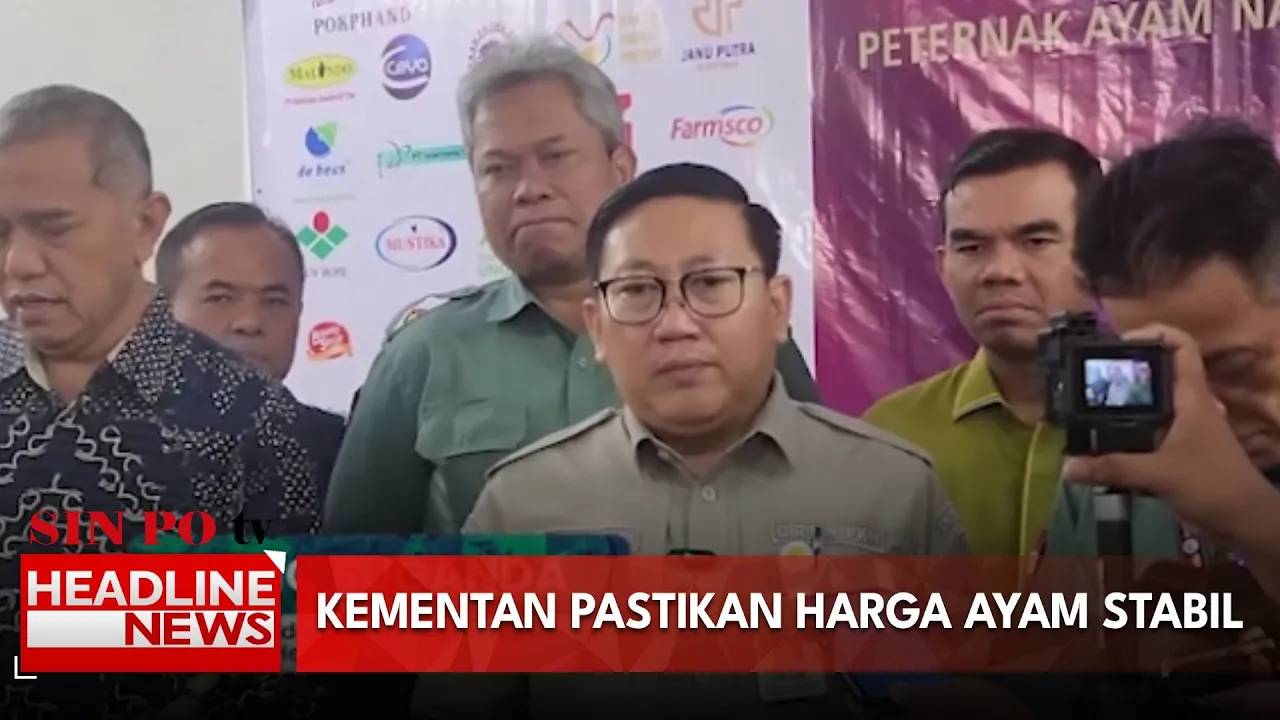 Kementan pastikan harga ayam stabil