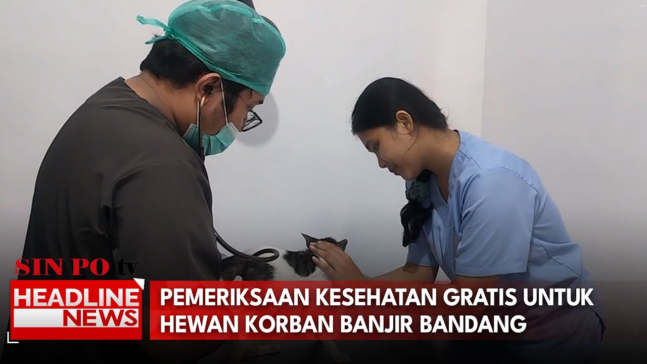 Pemeriksaan Kesehatan Gratis Hewan Korban Banjir Bandang