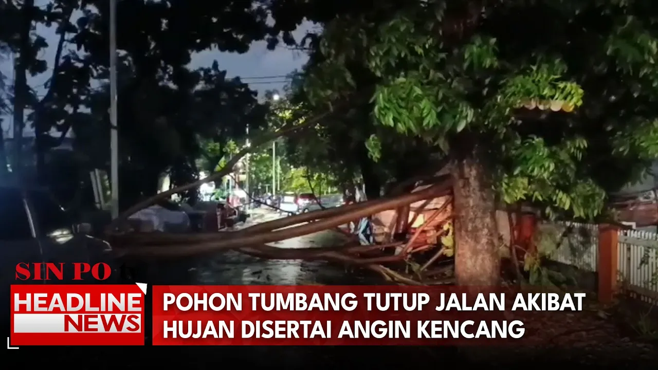 Pohon Tumbang Tutup Jalan Akibat Hujan Disertai Angin Kencang