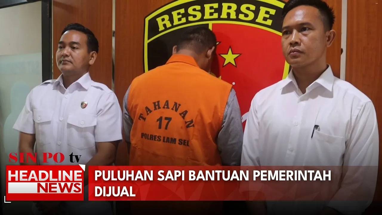 Puluhan Sapi Bantuan Pemerintah Dijual, Ketua Kelompok Tani Jadi Tersangka