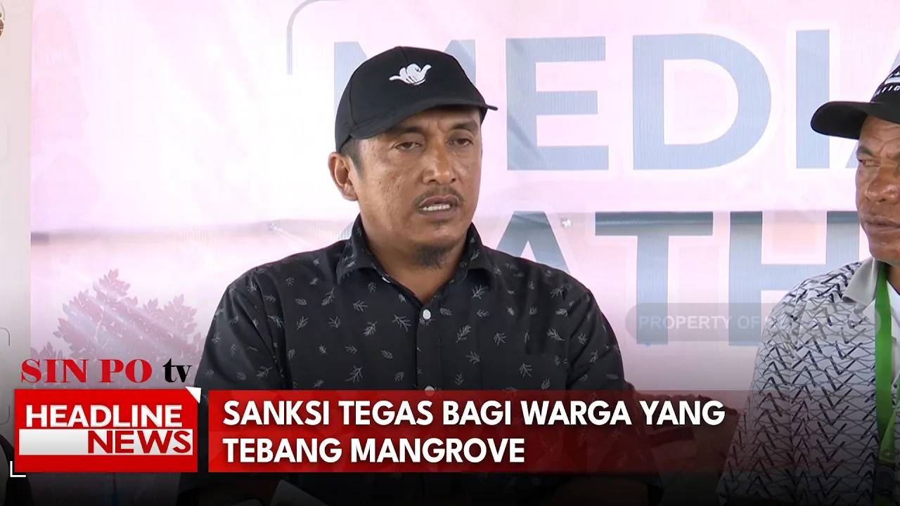 Sanksi Tegas Bagi Warga yang Tebang Mangrove