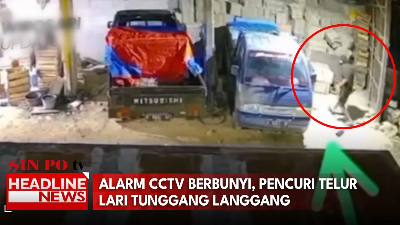 Alarm CCTV Berbunyi, Pencuri Telur Lari Tunggang Langgang
