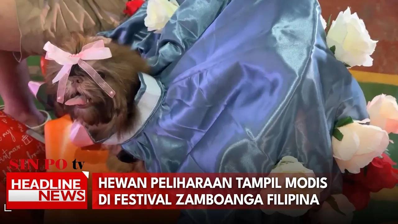 Hewan Peliharaan Tampil Modis Di Festival Zamboanga Filipina