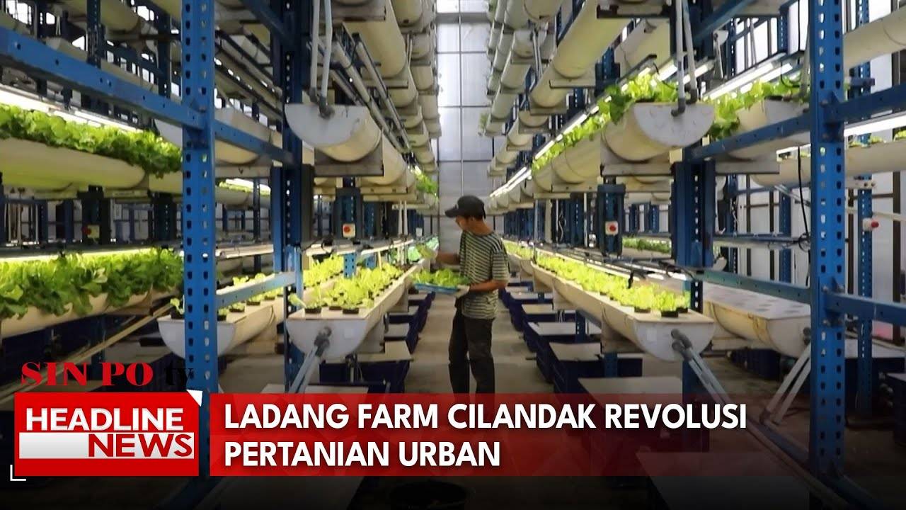 Ladang Farm Cilandak Revolusi Pertanian Urban