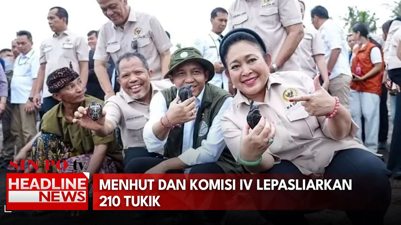Menhut dan Komisi IV Lepasliarkan 210 Tukik