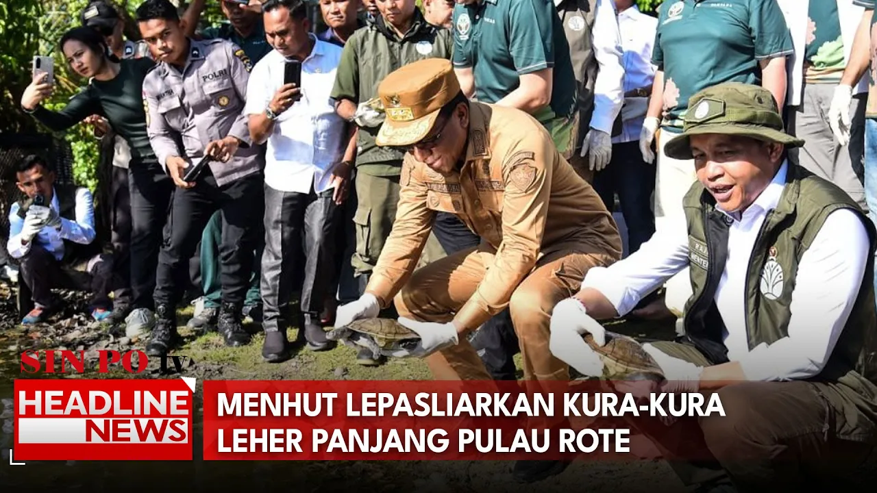 Menhut Lepasliarkan Kura-Kura Leher Panjang Pulau Rote