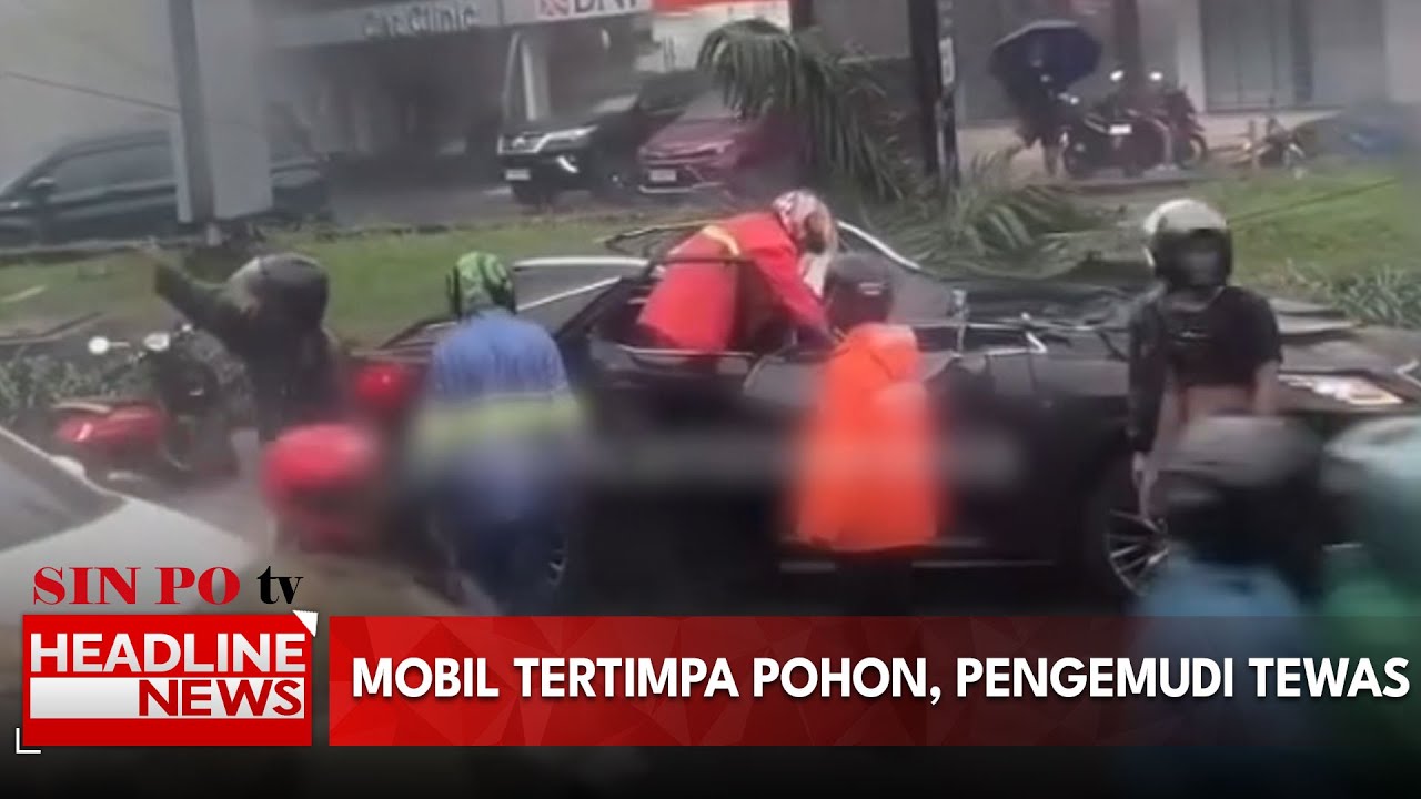 Mobil Tertimpa Pohon, Pengemudi Tewas