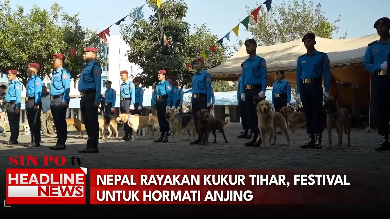 Nepal Rayakan Kukur Tihar, Festival Untuk Hormati Anjing