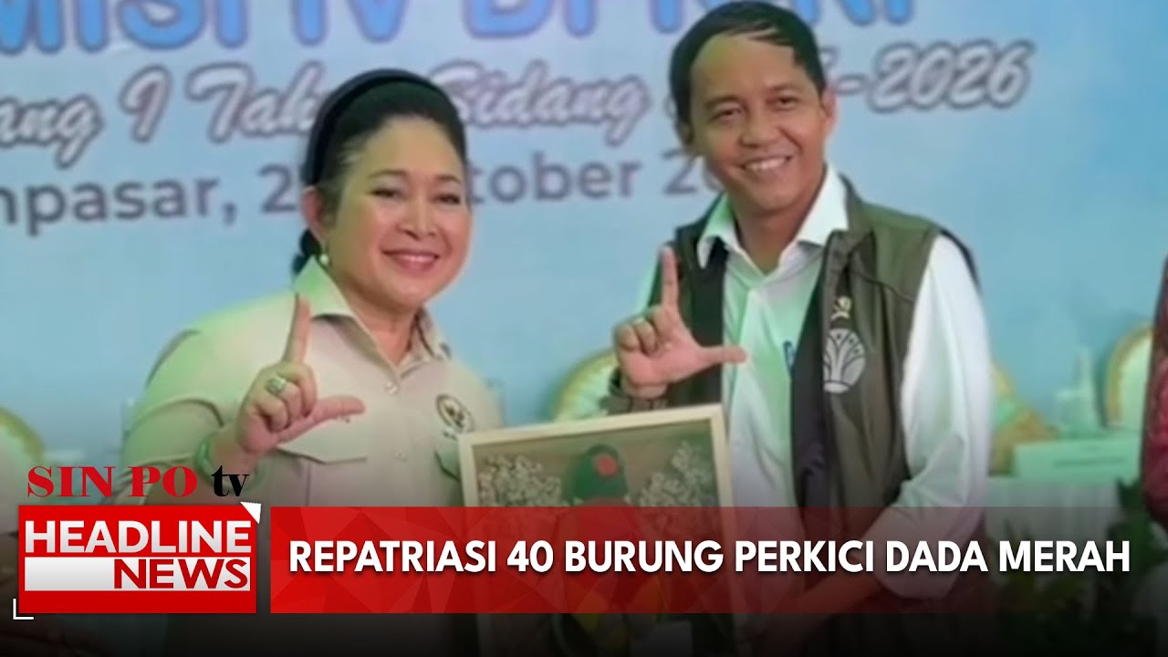 Repatriasi 40 Burung Perkici Dada Merah