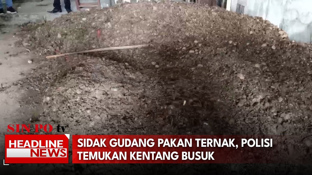 Sidak Gudang Pakan Ternak, Polisi Temukan Kentang Busuk