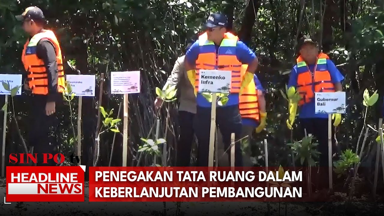Tanam Mangrove Di Batu Lumbung, Menko Ahy Ingatkan Pentingnya Penegakan Tata Ruang