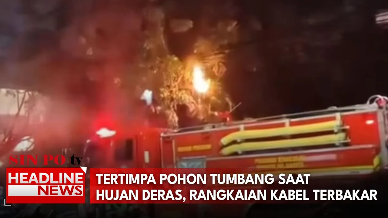 Tertimpa Pohon Tumbang Saat Hujan Deras, Rangkaian Kabel Terbakar