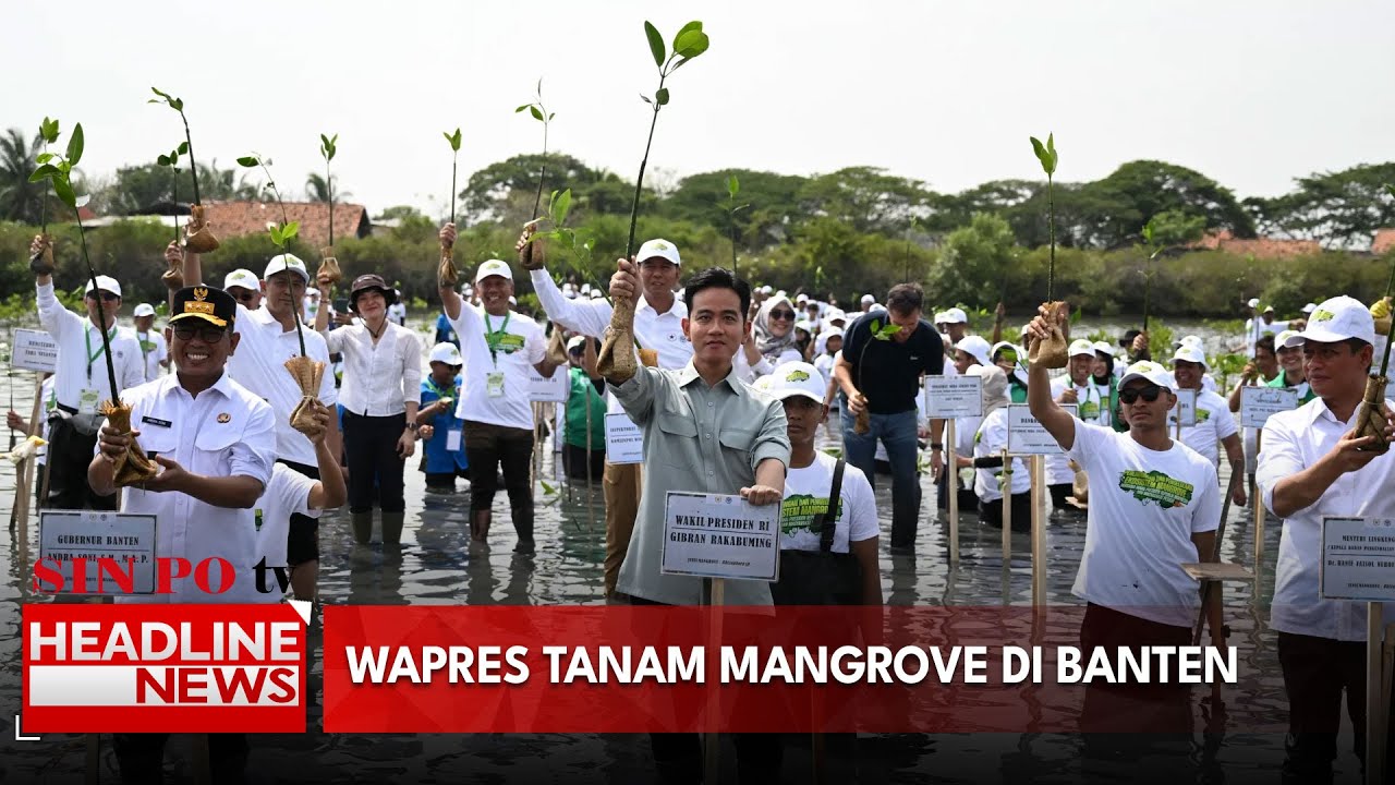 Wapres Tanam Mangrove di Banten