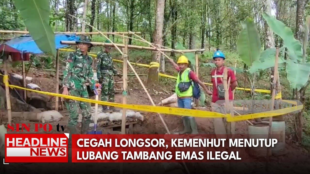 Cegah Longsor, Kemenhut Menutup Lubang Tambang Emas Ilegal
