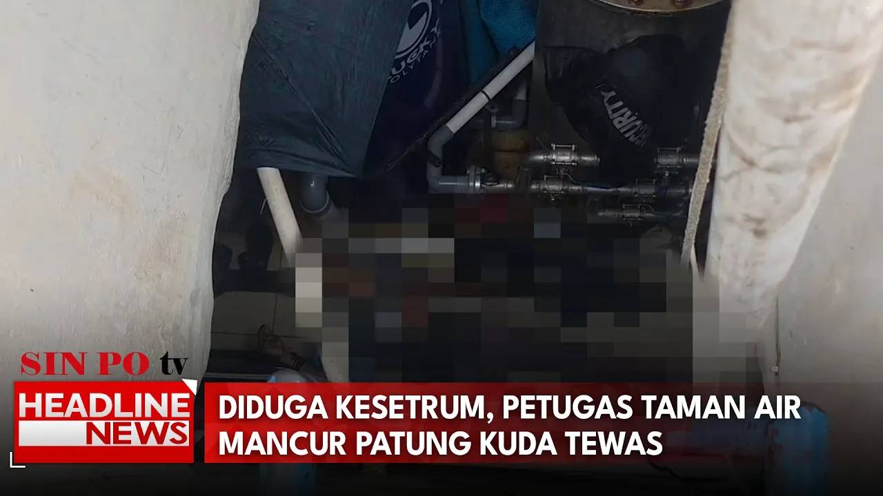 Diduga Kesetrum, Petugas Taman Air Mancur Patung Kuda Tewas