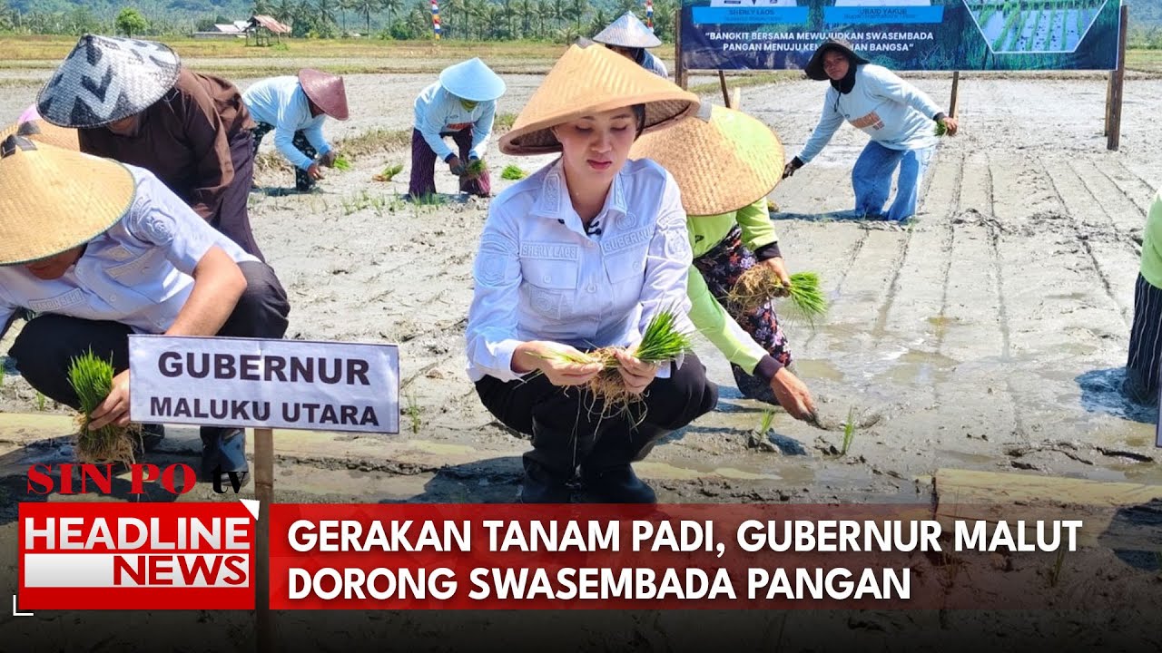 Gerakan Tanam Padi, Gubernur Malut Dorong Swasembada Pangan
