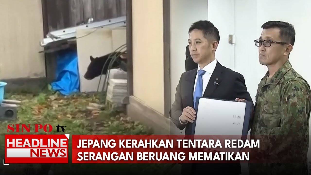 Jepang Kerahkan Tentara Redam Serangan Beruang Mematikan