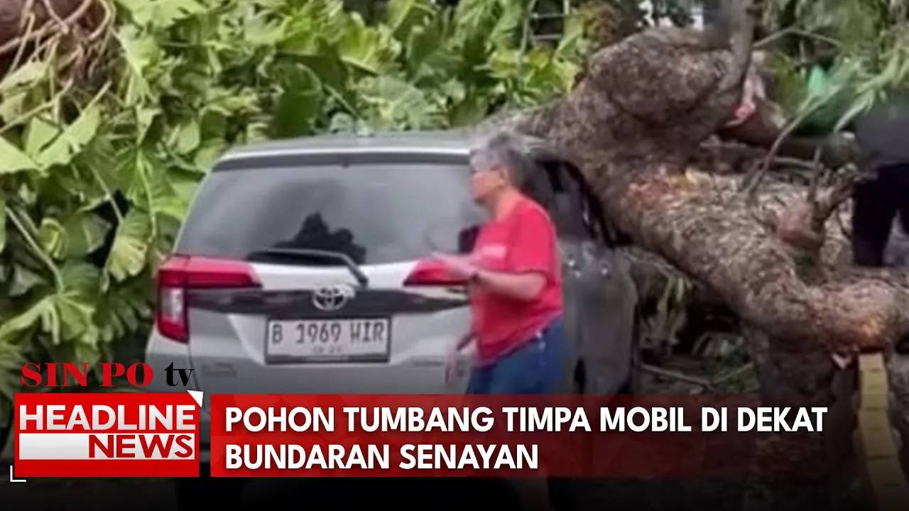Pohon Tumbang Timpa Mobil di Dekat Bundaran Senayan
