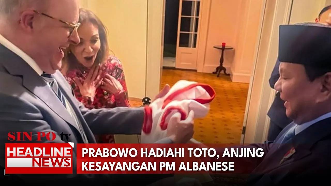 Prabowo Hadiahi Toto, Anjing Kesayangan PM Albanese