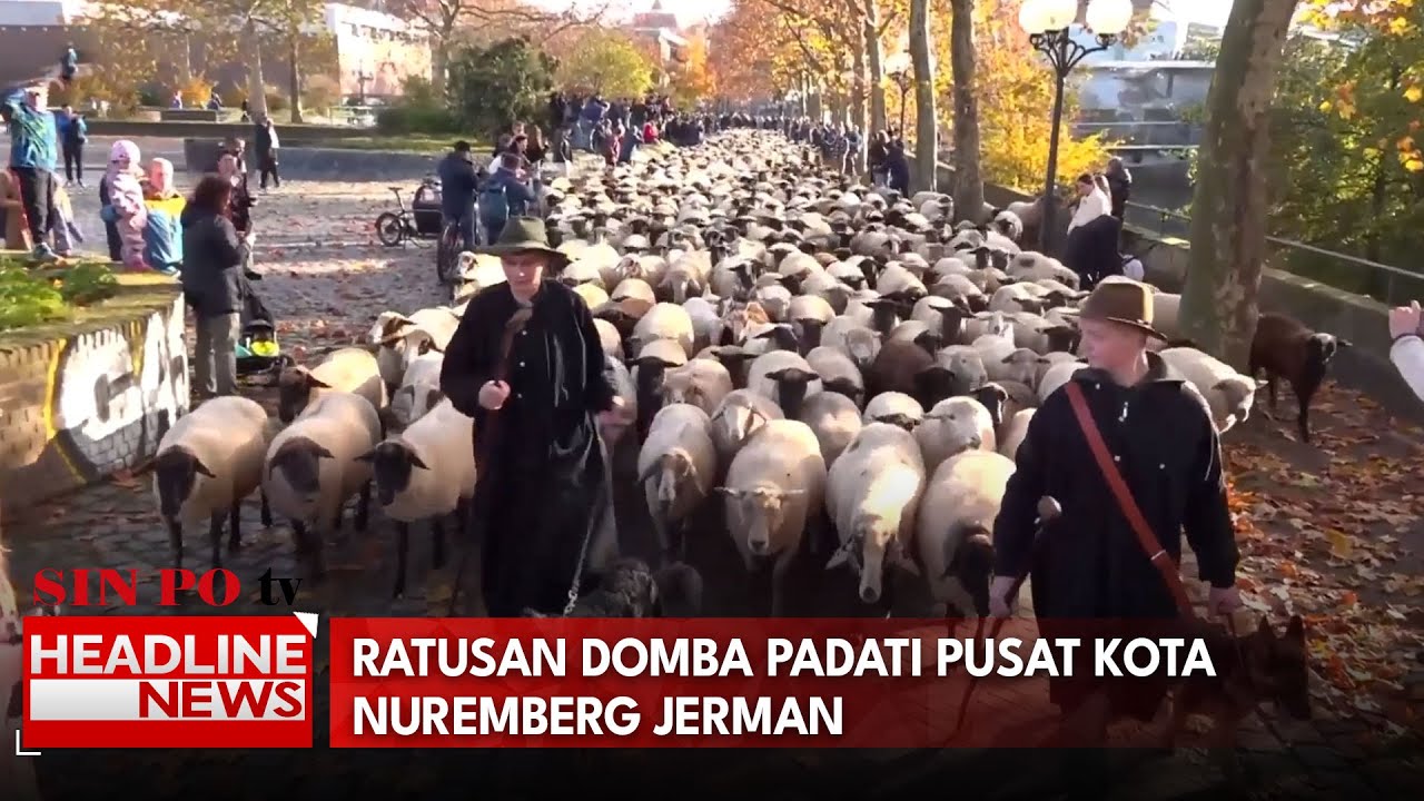 Ratusan Domba Padati Pusat Kota Nuremberg Jerman