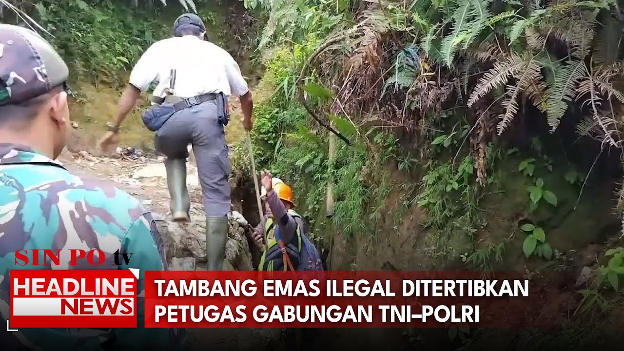 Tambang Emas Ilegal Ditertibkan Petugas Gabungan TNI–Polri