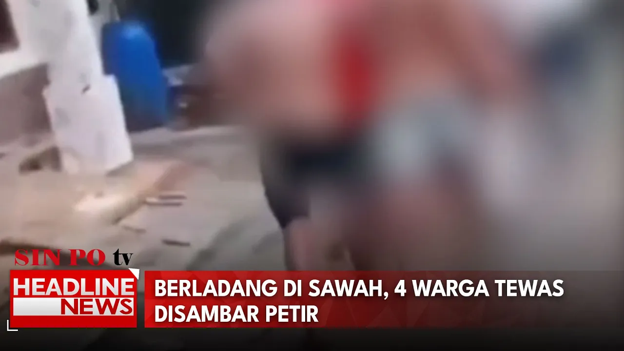 Berladang Di Sawah, 4 Warga Tewas Disambar Petir