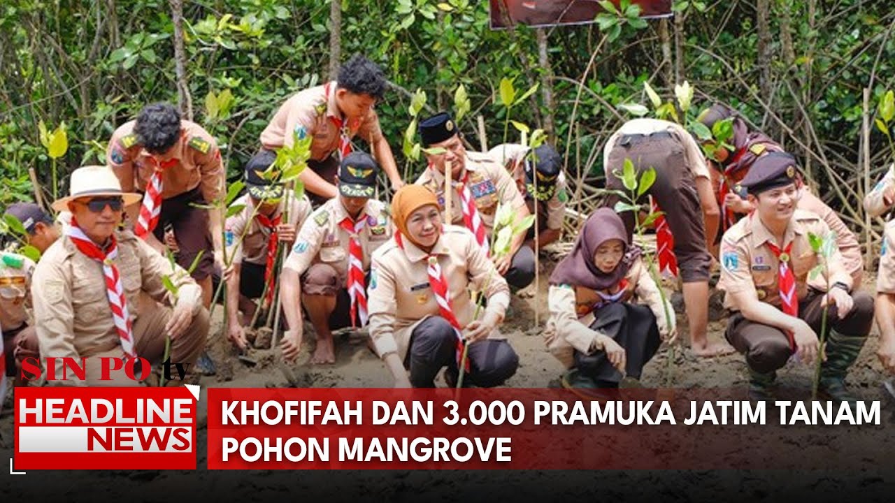 Khofifah Dan 3.000 Pramuka Jatim Tanam Pohon Mangrove