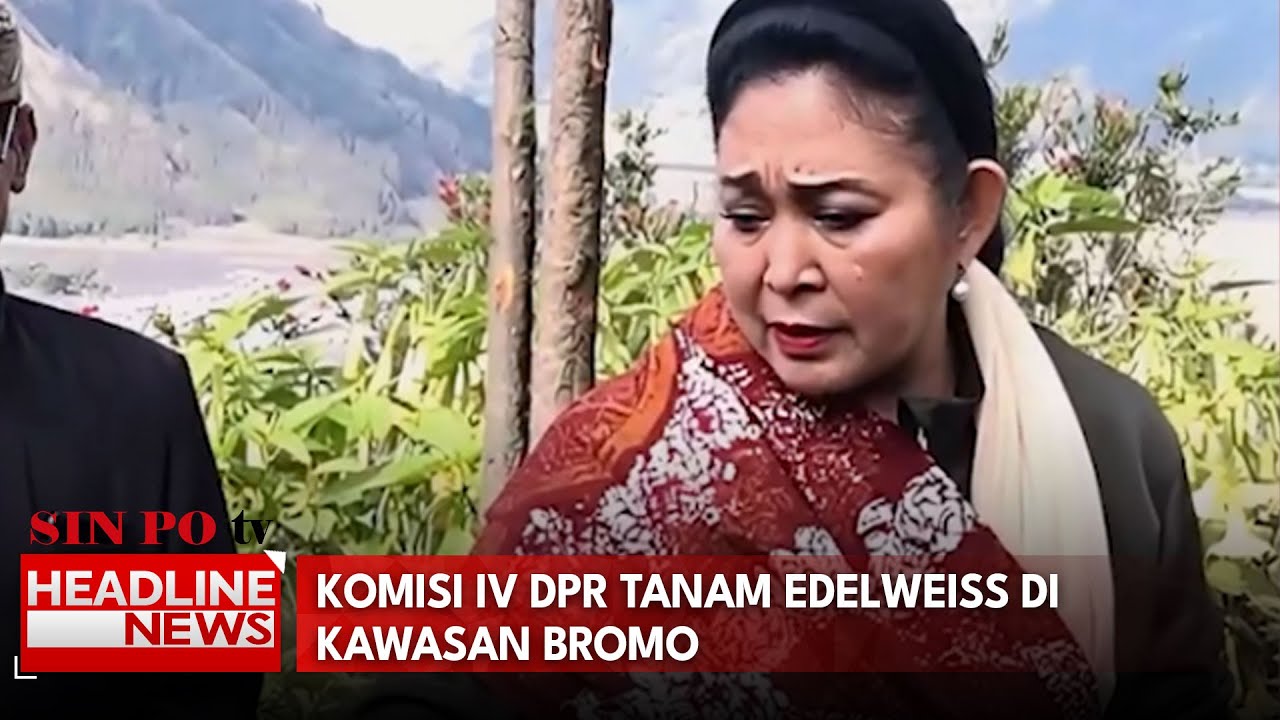 Komisi IV DPR Tanam Edelweiss di Kawasan Bromo