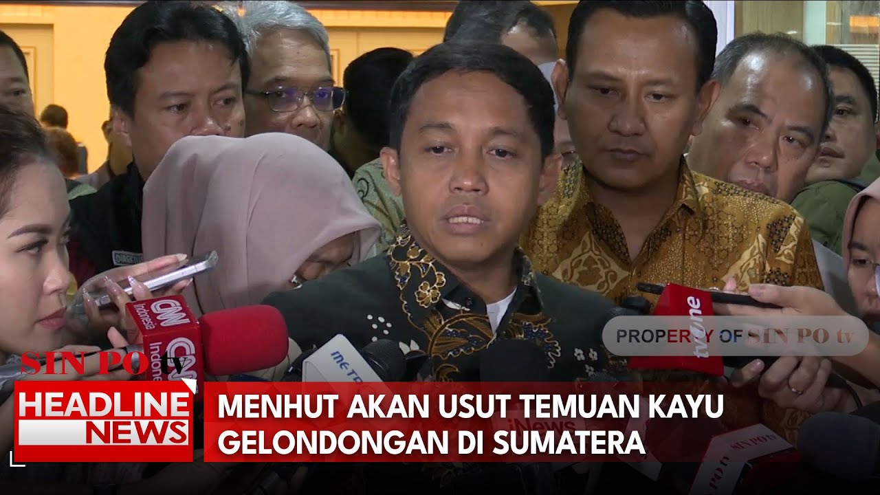 Menhut Akan Usut Temuan Kayu Gelondongan Di Sumatera