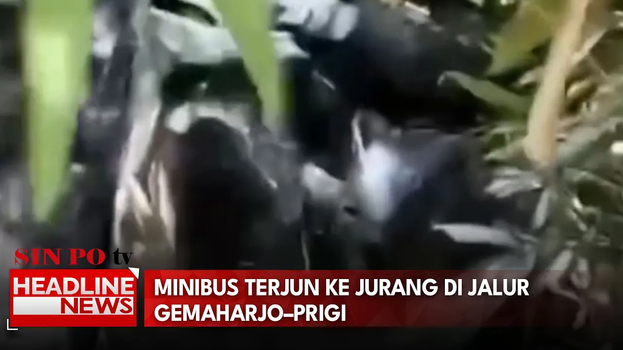 Minibus Terjun Ke Jurang Di Jalur Gemaharjo–Prigi