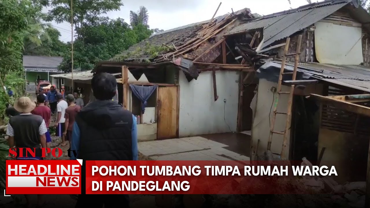 Pohon Tumbang Timpa Rumah Warga di Pandeglang