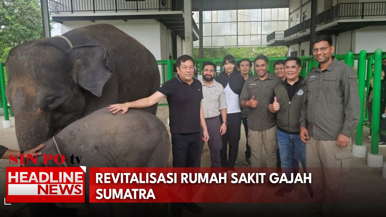 Revitalisasi Rumah Sakit Gajah Sumatra