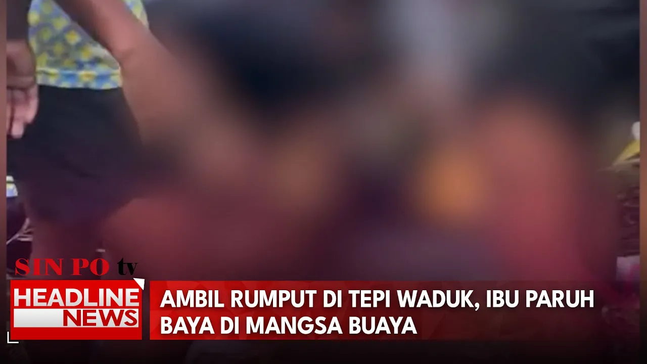 Ambil Rumput Di Tepi Waduk, Ibu Paruh Baya Di Mangsa Buaya