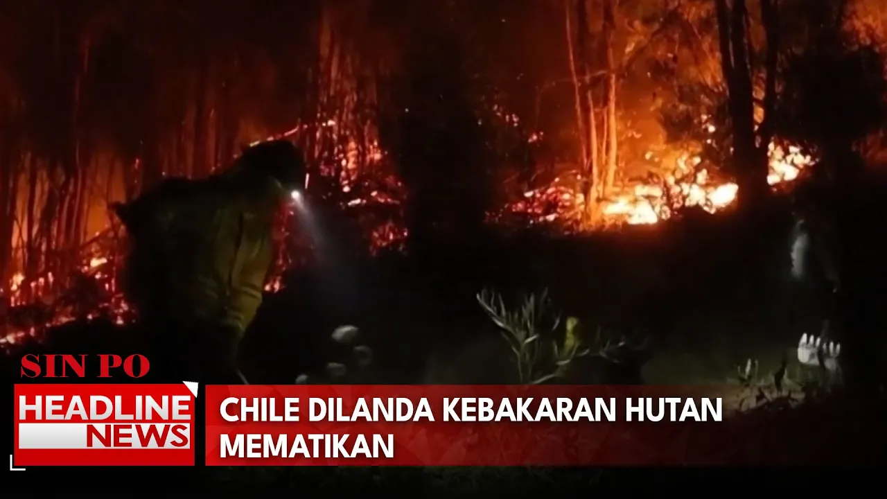 Chile Dilanda Kebakaran Hutan Mematikan