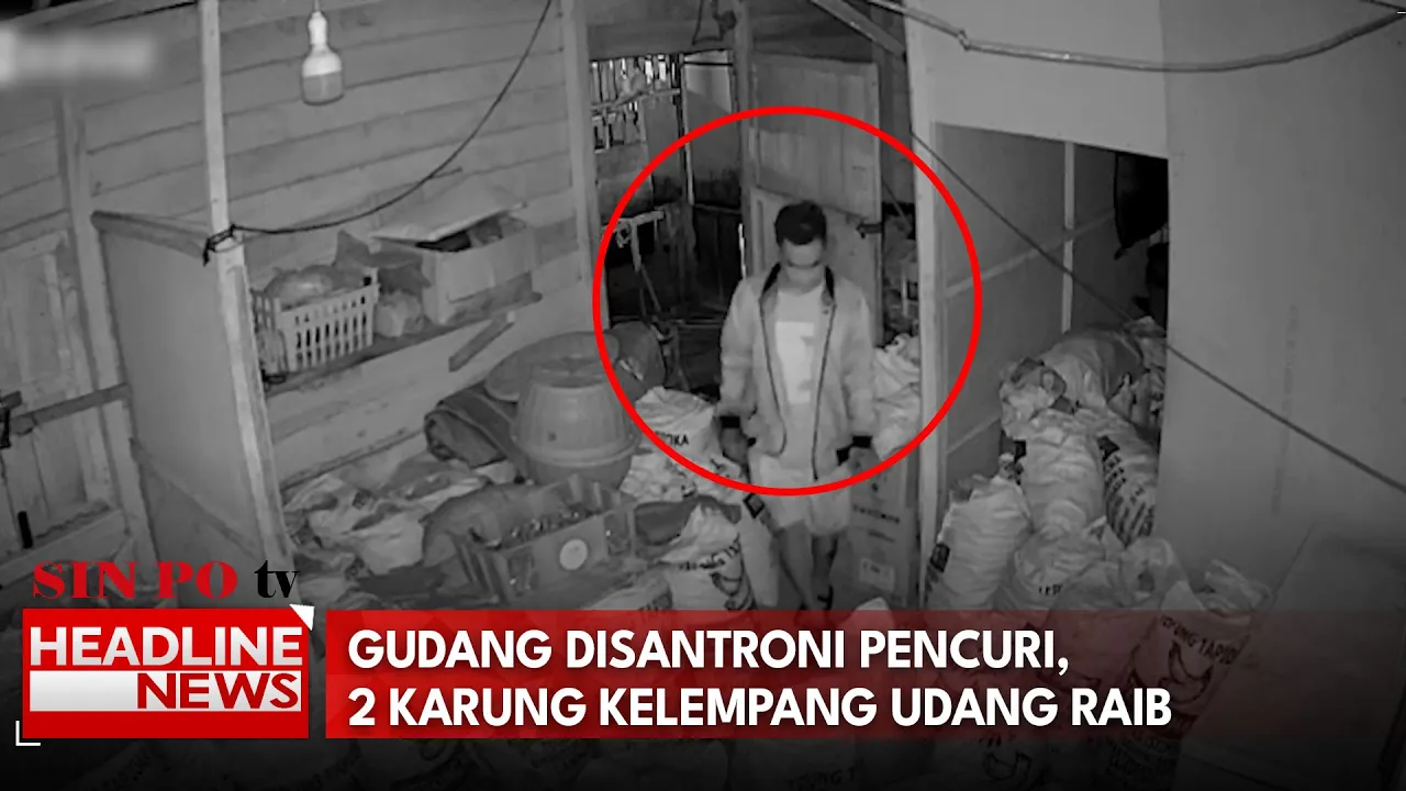 Gudang Disantroni Pencuri, 2 Karung Kelempang Udang Raib