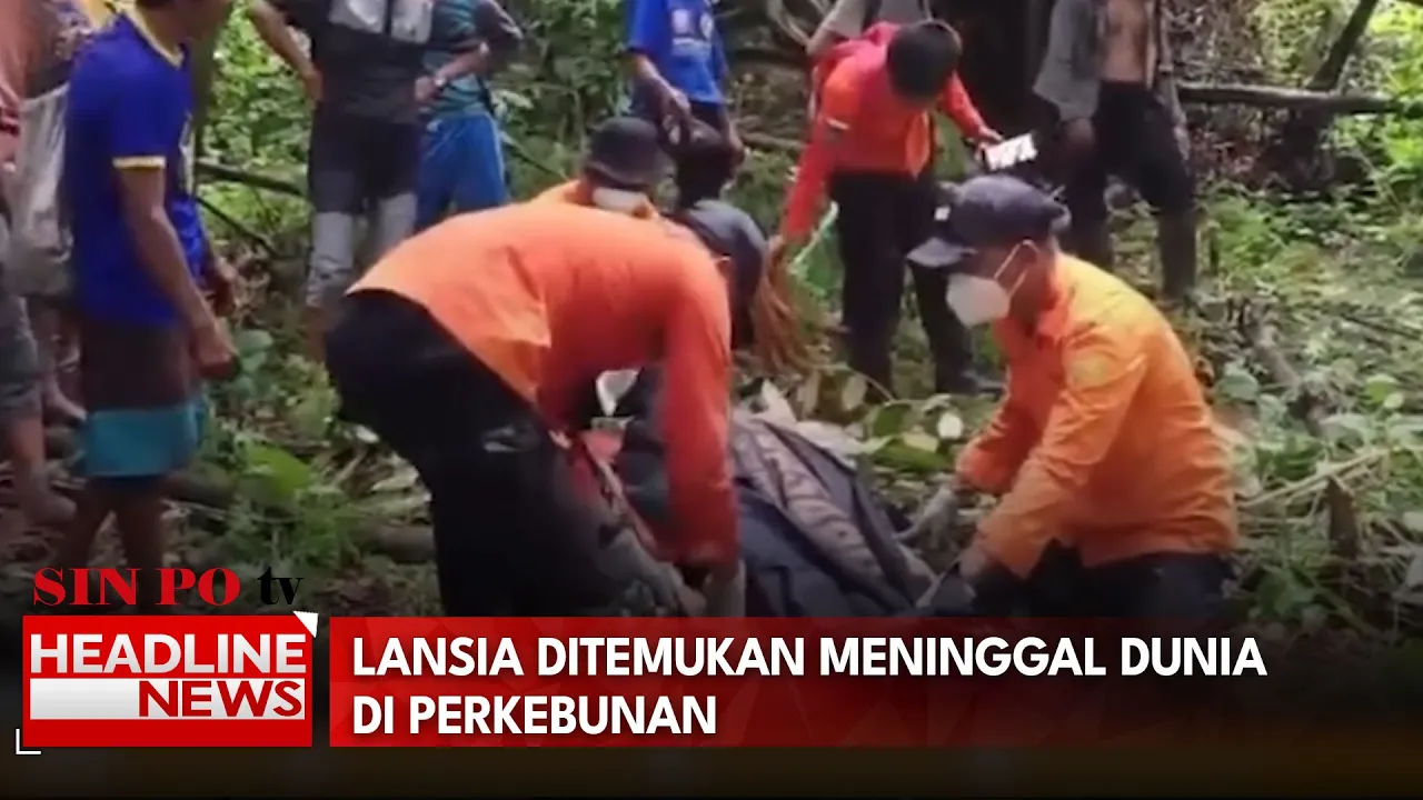 Lansia Ditemukan Meninggal Dunia Di Perkebunan