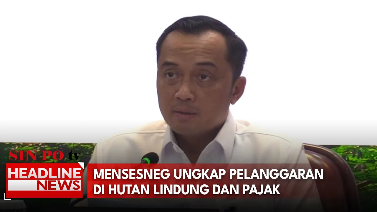 Mensesneg Ungkap Pelanggaran Di Hutan Lindung Dan Pajak