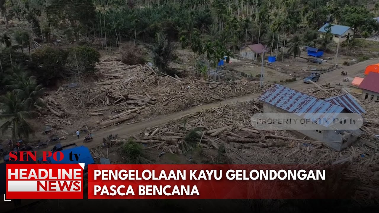 Pengelolaan Kayu Gelondongan Pasca Bencana