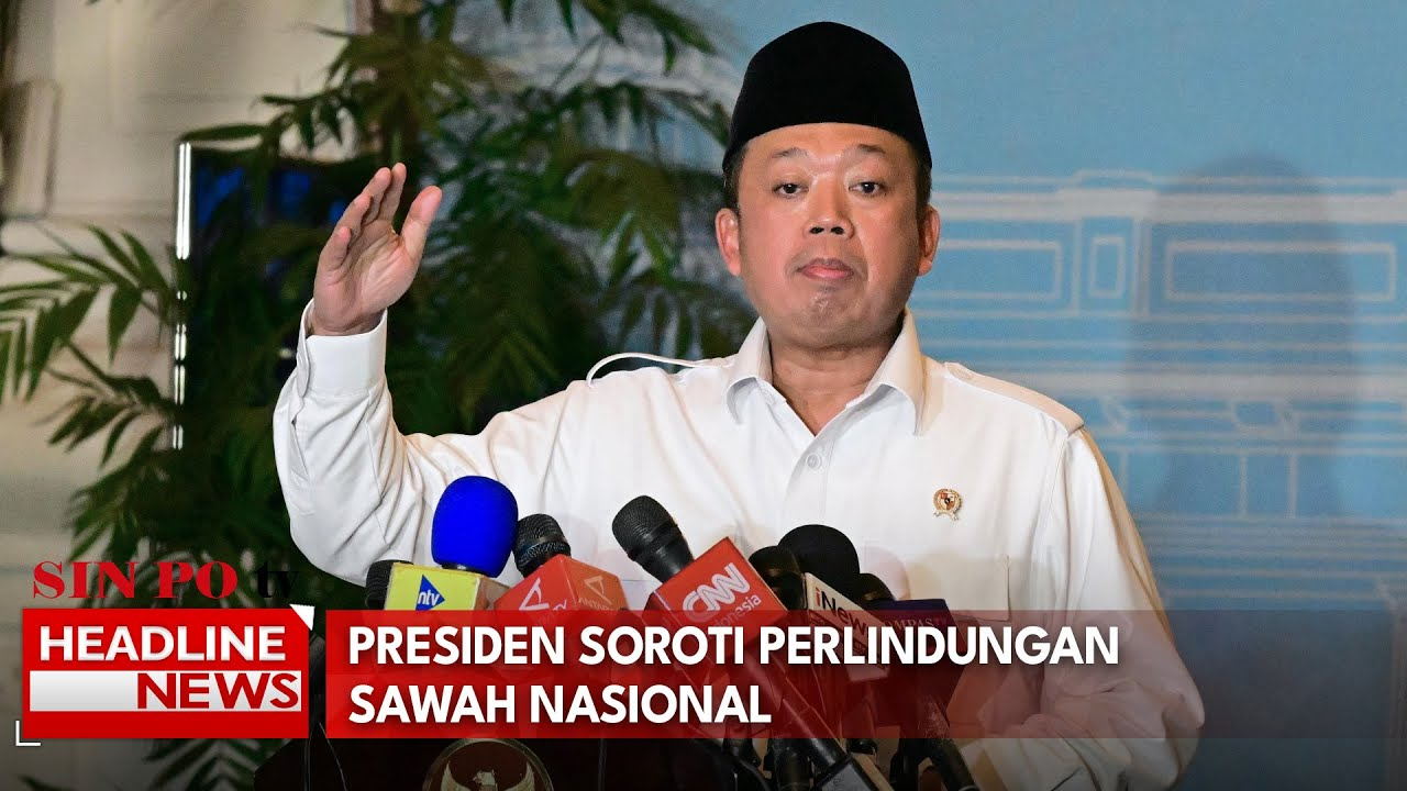 Presiden Soroti Perlindungan Sawah Nasional